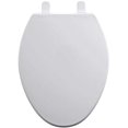 thumbnail image 1 of Proven Brands TSY19004 423424 19 in. Elongated Wood Toilet Seat, White, 1 of 1