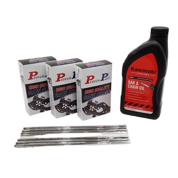 Proven Part (3) 16" Full Skip Chain For 16In Bar 0.325 Pitch .050 Gauge 67DL (1) Qt Oil (6) Files