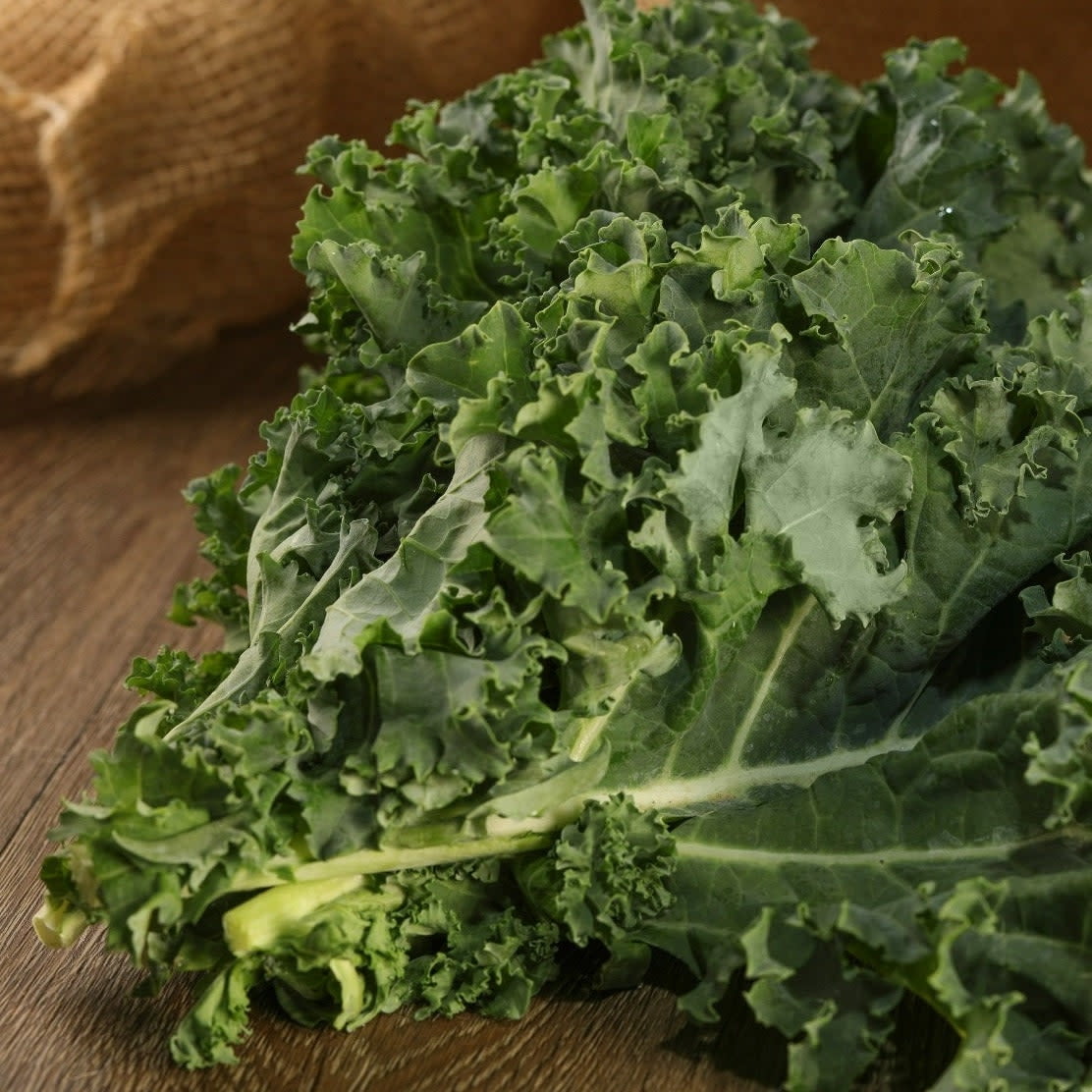 Proven Selections 6" Mixed Kale (Brassica oleracea var. sabellica) Live Plant in 4.94" Eco+ Grande Pots (4 Count)