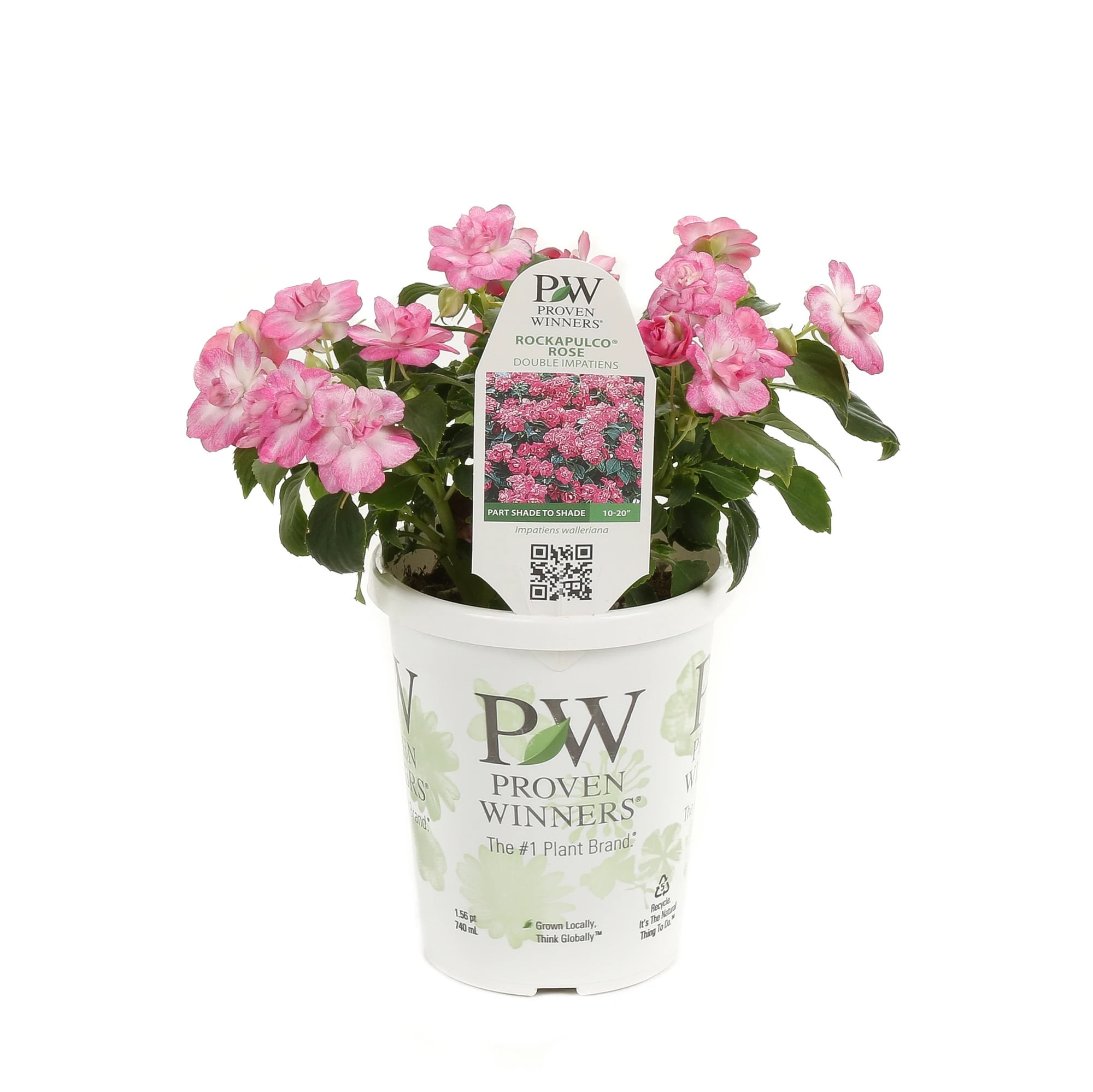 ポップンフラワーズ 村上隆 (Takashi Murakami)「ポップンフラワーズ」ART GALLERY M