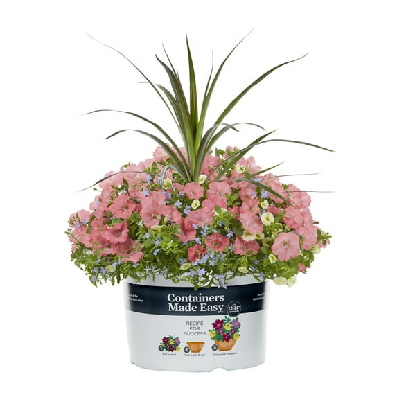 Proven Winners 2.5gal Multicolor Bermuda Skies Calibracho Lobelia Petunia Live Annual Plant Sun