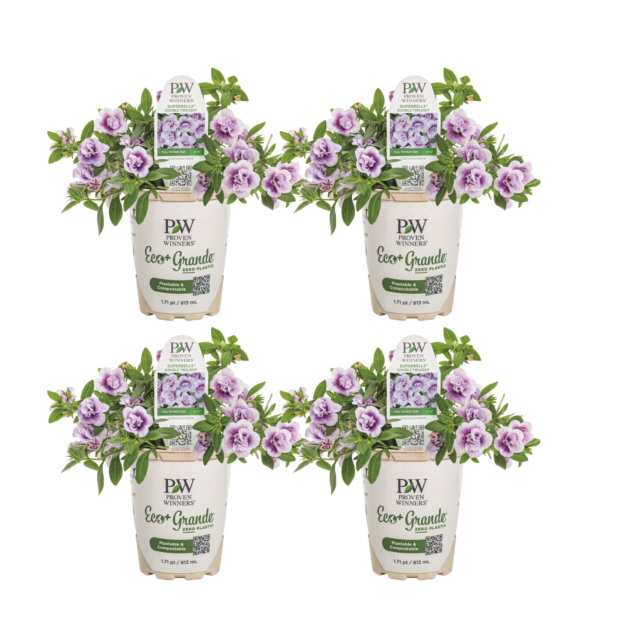 Proven Winners 4" Purple Superbells Double Twilight Calibrachoa Live Plant in 4.25" Pot (4 Count)