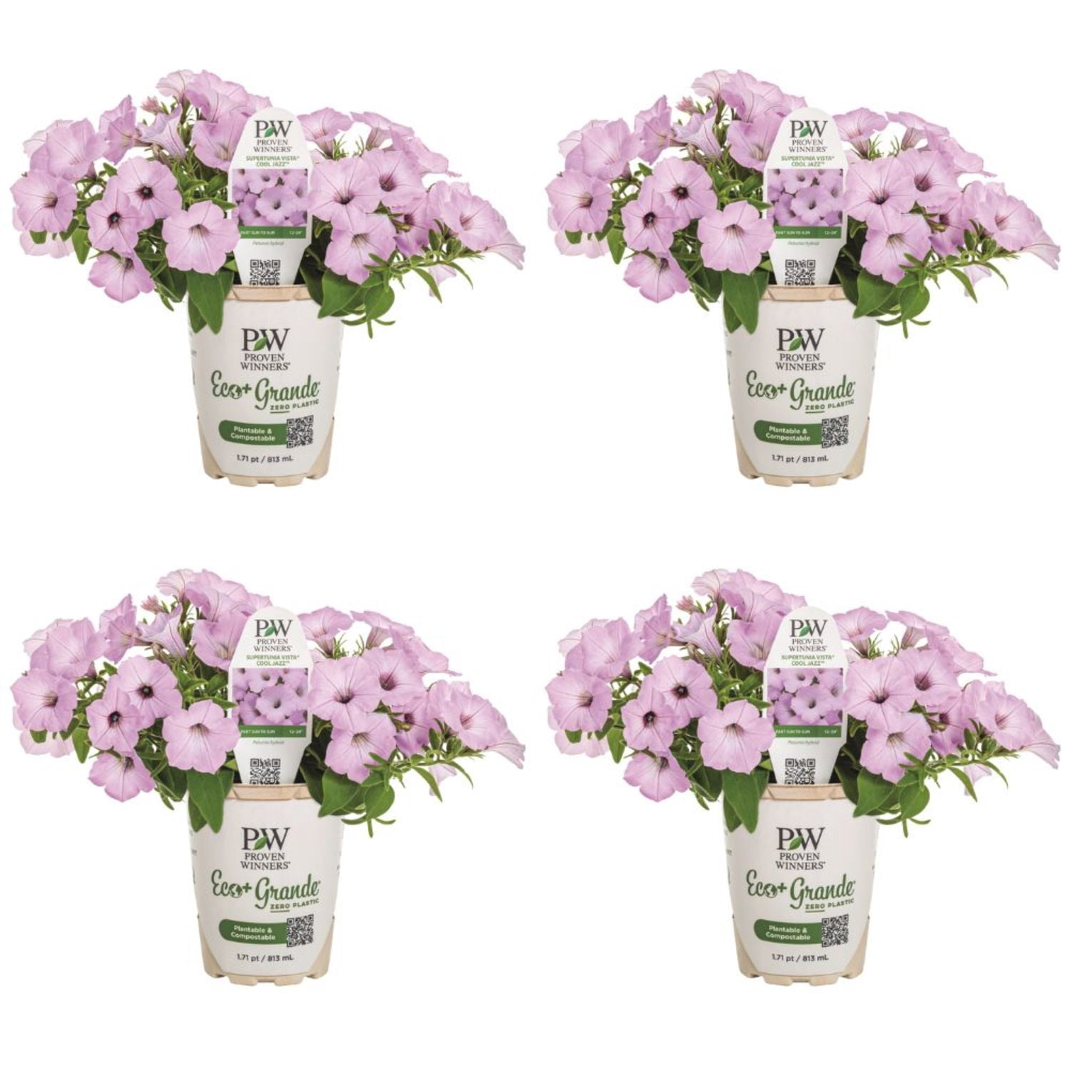 Proven Winners 4" Pink Supertunia Vista Cool Jazz Petunia Live Plant in 4.25" Pot (4 Count)