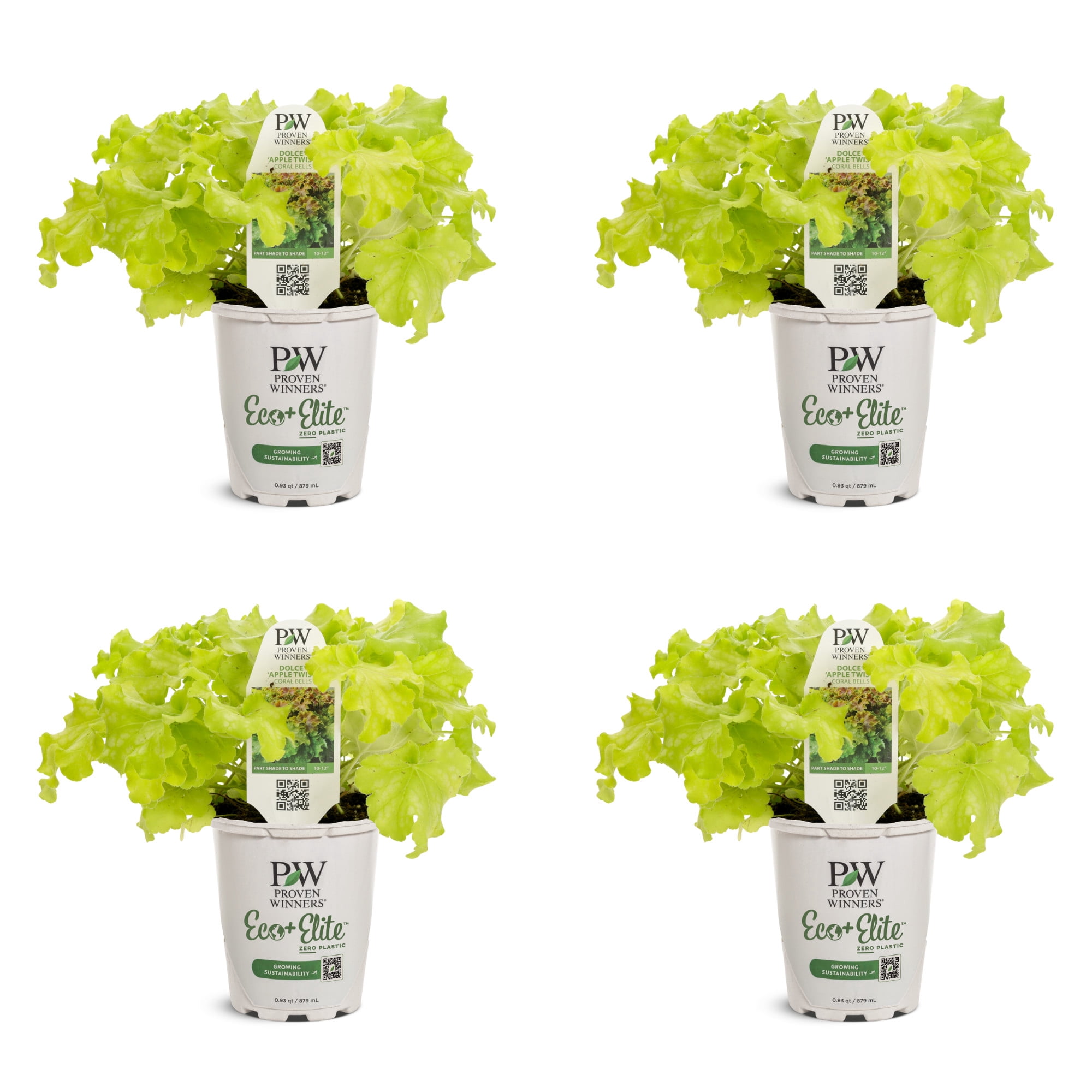Proven Winners 5" Yellow Dolce 'Apple Twist' Coral Bells Live Plant in 4.5" Pot (4 Count)