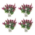 thumbnail image 1 of Proven Winners 4" Pink Rockin' Fuchsia Salvia Live Plant in 4.25" Pot (4 Count), 1 of 7