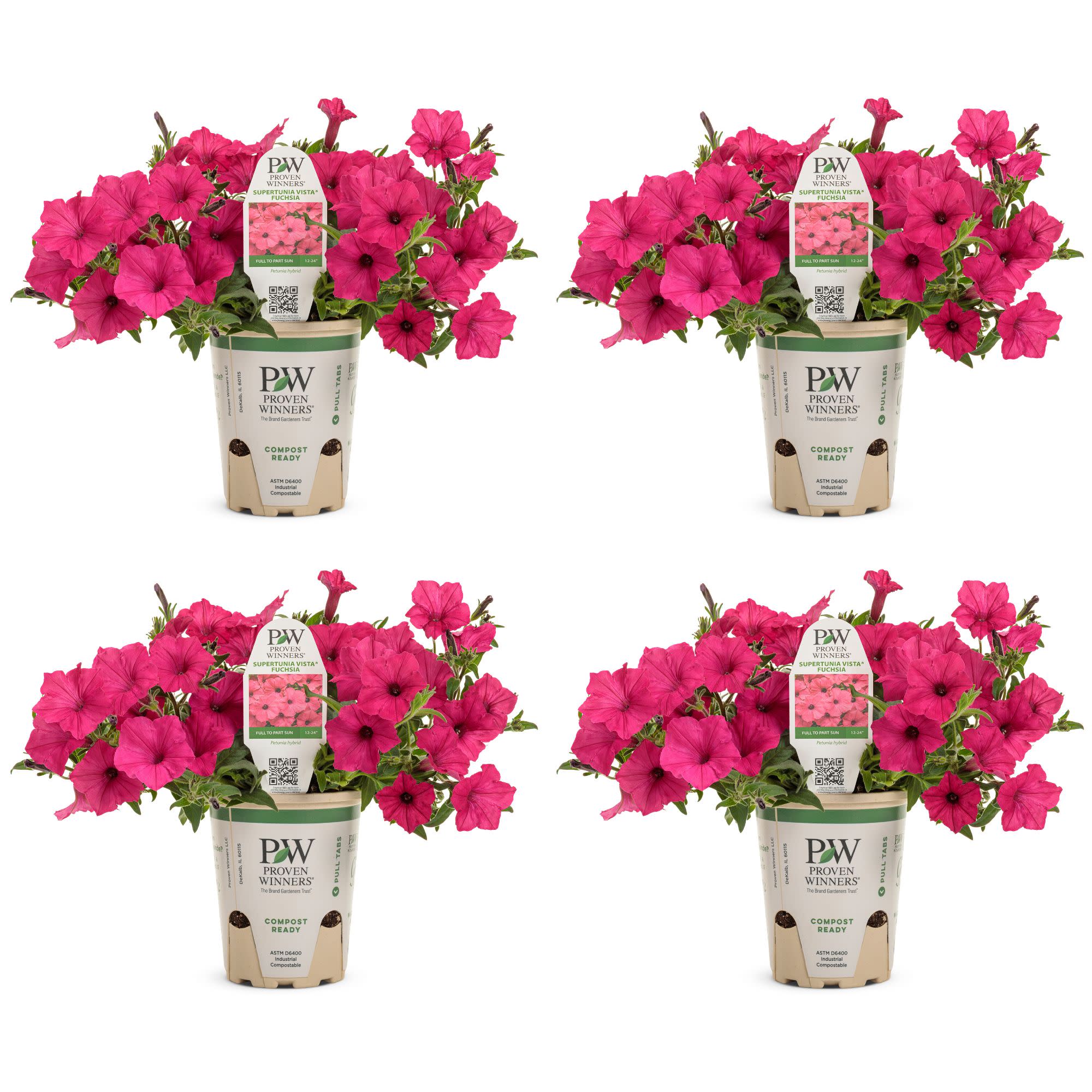 Proven Winners 4" Pink Supertunia Vista Fuchsia Petunia Live Plant in 4.25" Pot (4 Count)