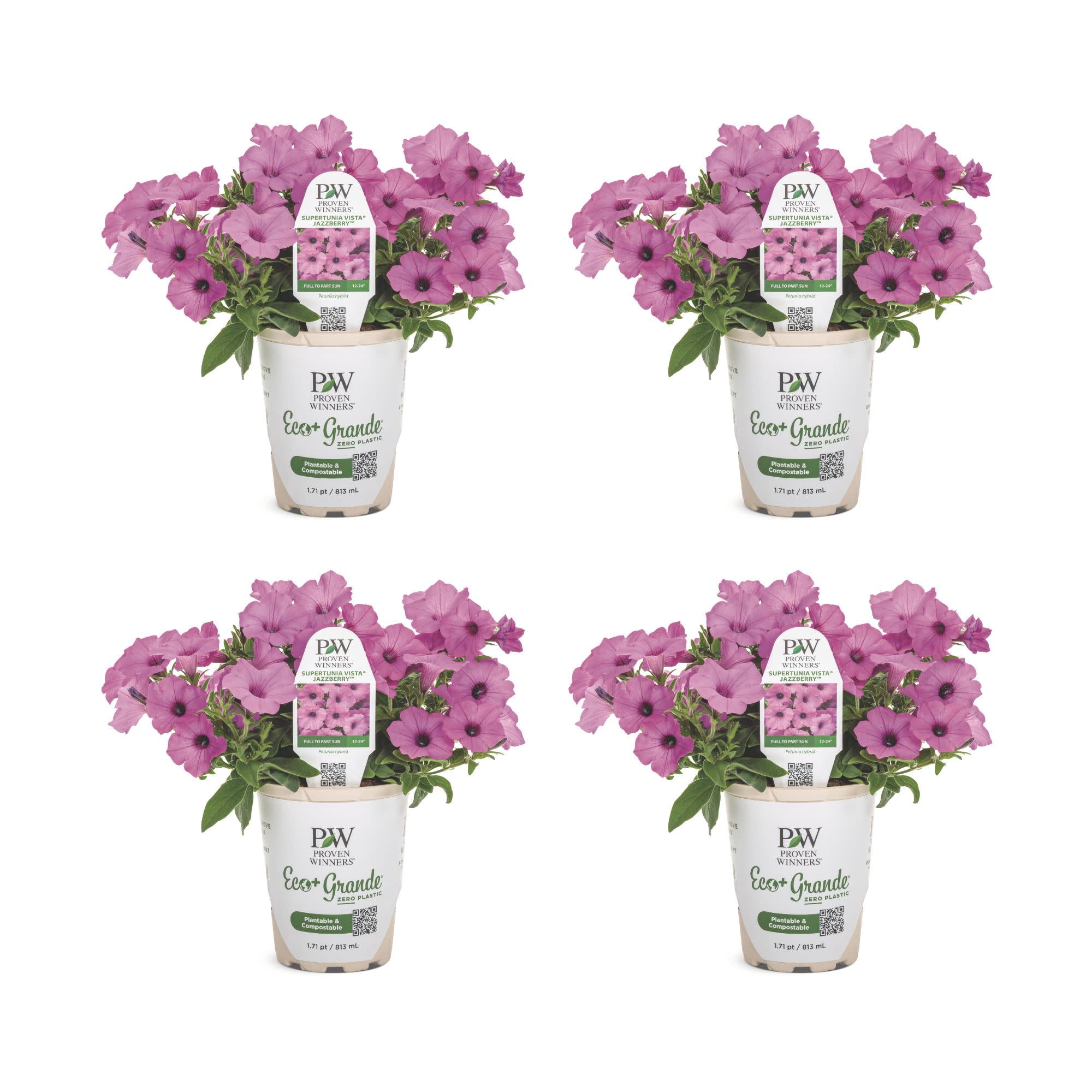 Proven Winners 4" Purple Supertunia Vista Jazzberry Petunia Live Plant in 4.25" Pot (4 Count)