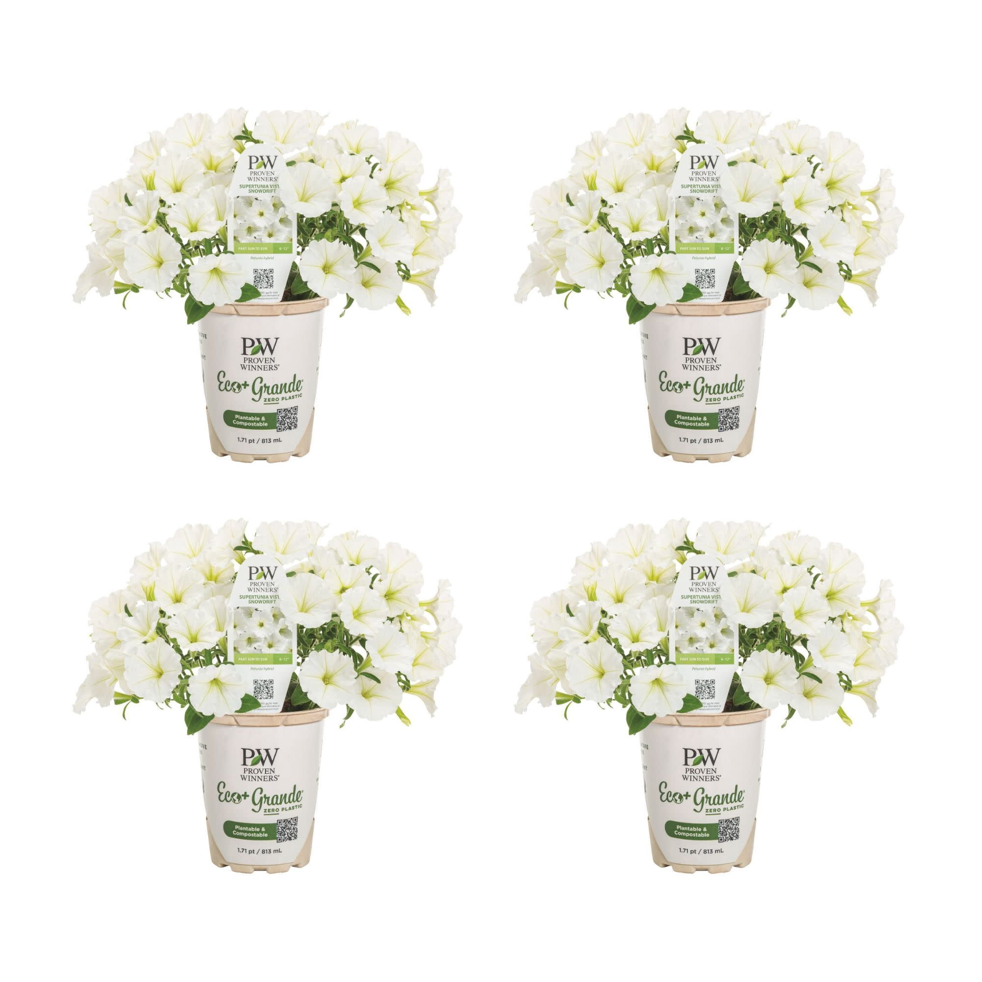 Proven Winners 4" White Supertunia Vista Snowdrift Petunia Live Plant in 4.25" Pot (4 Count)
