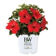 thumbnail image 1 of Proven Winners ColorChoice Hot Shot Hibiscus Live Shrub (2 Gallon), 1 of 9
