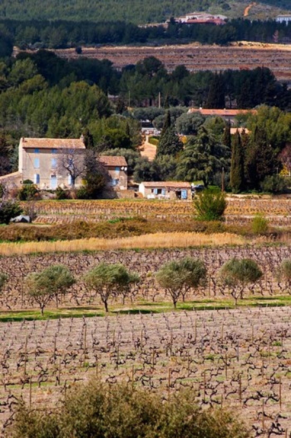 Provencal Village Chateau Vannieres Canvas Art - Per Karlsson DanitaDelimont (24 x 36)