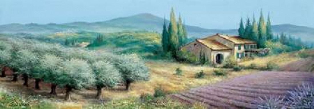 Provence II Canvas Art - Reint Withaar (24 x 48)