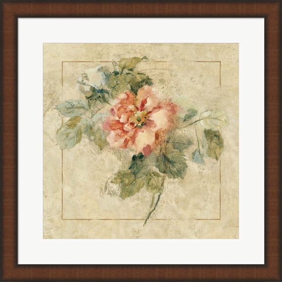 Provence Rose II by Cheri Blum, Framed Wall Art, 19.75W x 19.75H