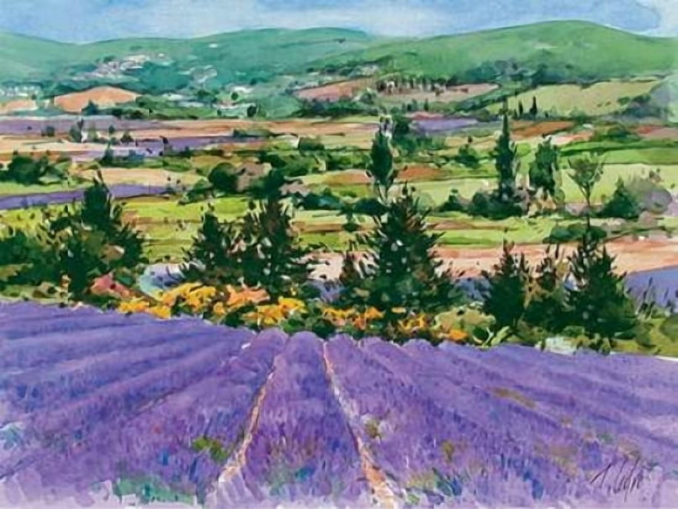 Provenza Canvas Art - Tino Cedro (20 x 28)