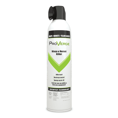Proverde Wasp & Hornet Killer - 14 oz Aerosol Can by AMGUARD