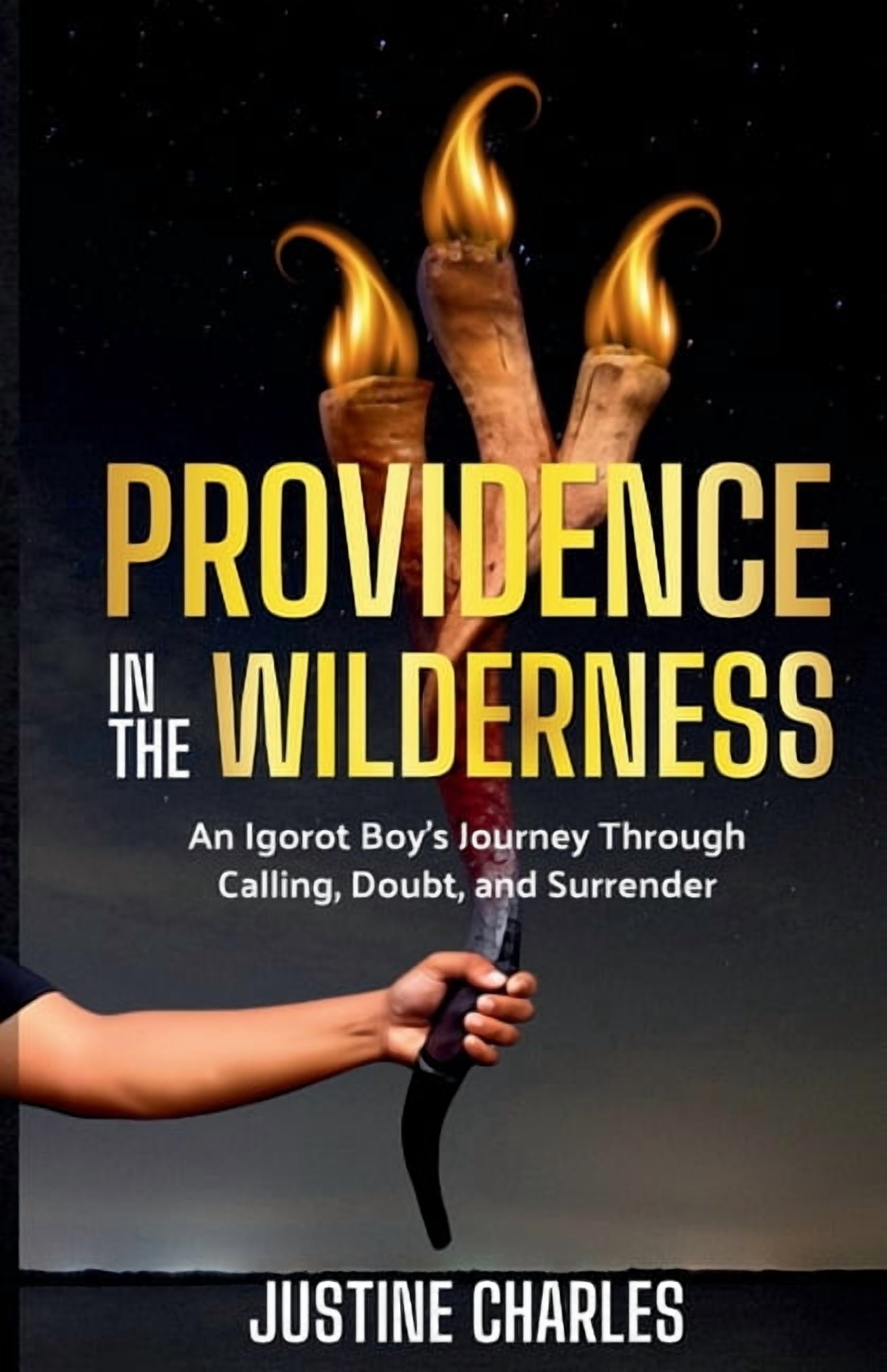 Providence In The Wilderness, (Paperback)