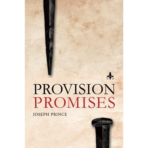 Pre-Owned Provision Promises (Paperback) 1636410340 9781636410340