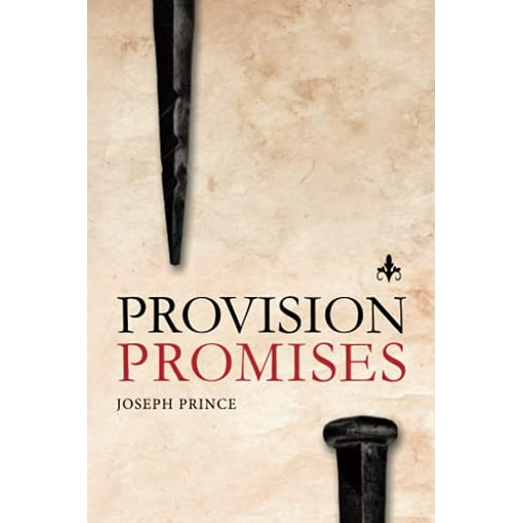 Pre-Owned Provision Promises Paperback