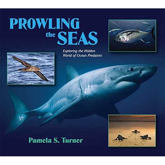 Pre-Owned Prowling the Seas: Exploring the Hidden World of Ocean Predators (Hardcover) 0802797482 9780802797483