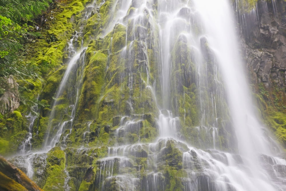 Proxy Falls In Willamette National Forest Oregon United States of America Canvas Art - Craig Tuttle Design Pics (38 x 24)