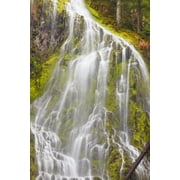 Proxy Falls In Willamette National Forest; Oregon, United States of America Poster Print (12 x 19)