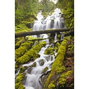 Proxy Falls In Willamette National Forest; Oregon, United States of America Poster Print (24 x 38)
