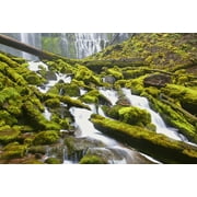 Proxy Falls In Willamette National Forest; Oregon, United States of America Poster Print (38 x 24)