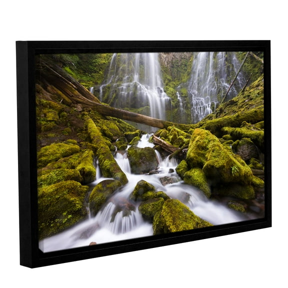 Proxy Falls Oregon 6