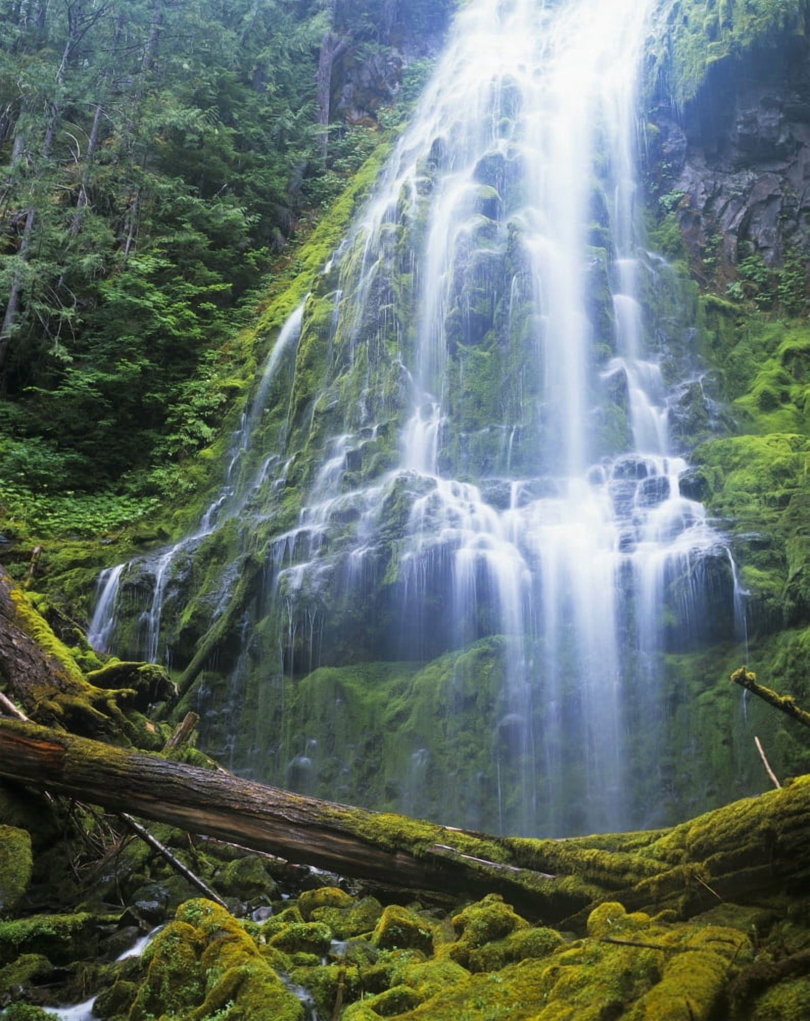 Proxy Falls plummets down the bluffs Sisters Oregon United States of America Canvas Art - Robert L Potts Design Pics (13 x 17)