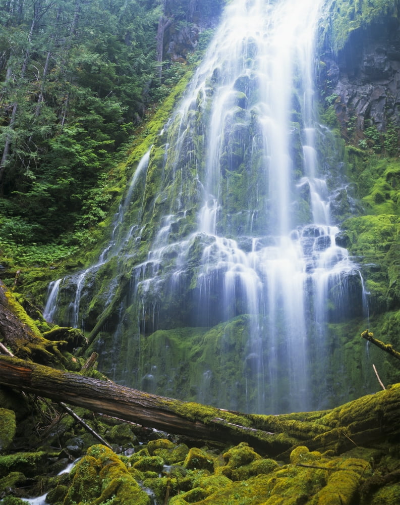 Proxy Falls plummets down the bluffs Sisters Oregon United States of America Canvas Art - Robert L Potts  Design Pics (26 x 34)