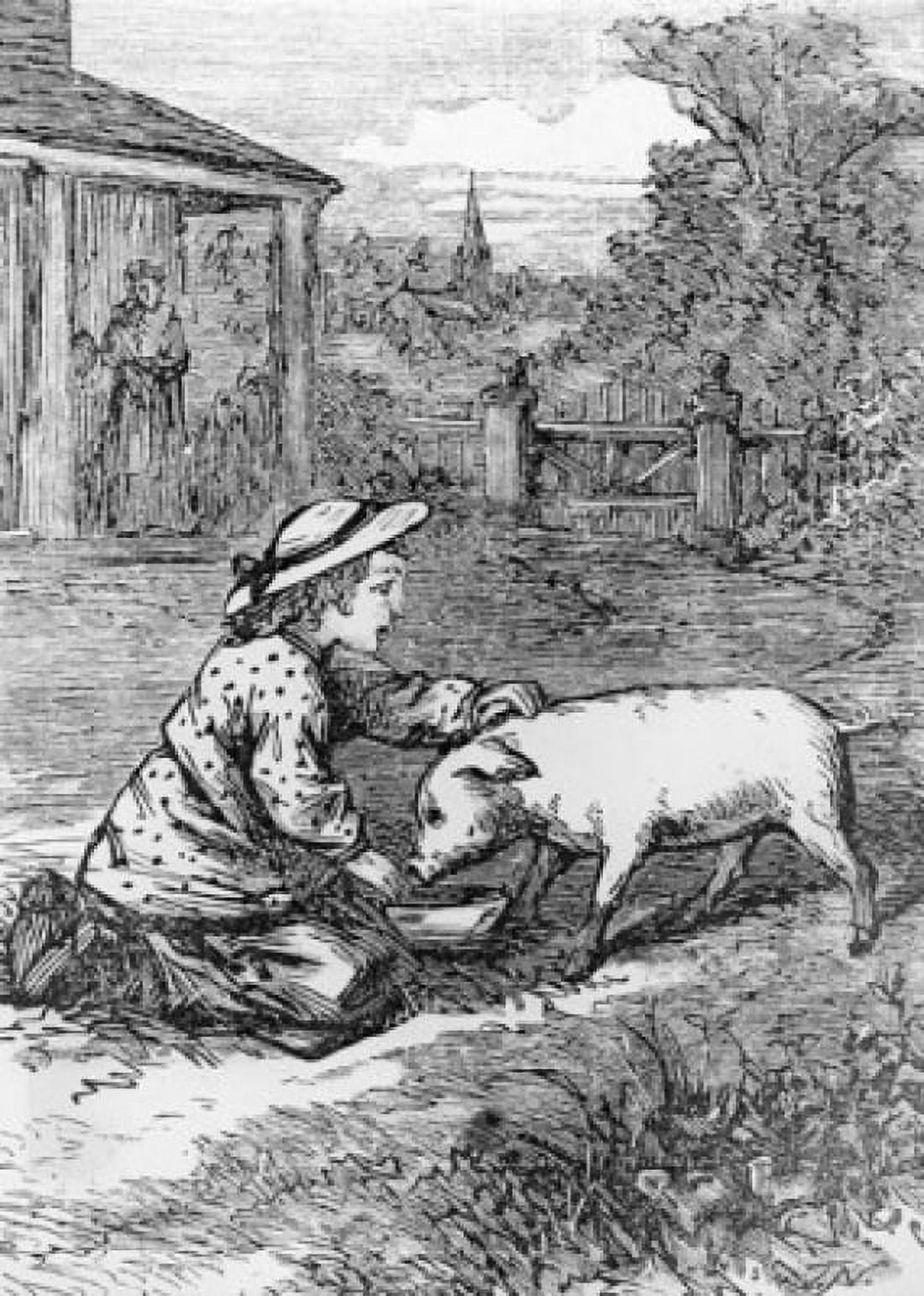 Prudys Pet Pig from Little Prudy by Sophie May (R S Clarke) 1870 Canvas Art - Sophie May (R S Clarke) (24 x 36)