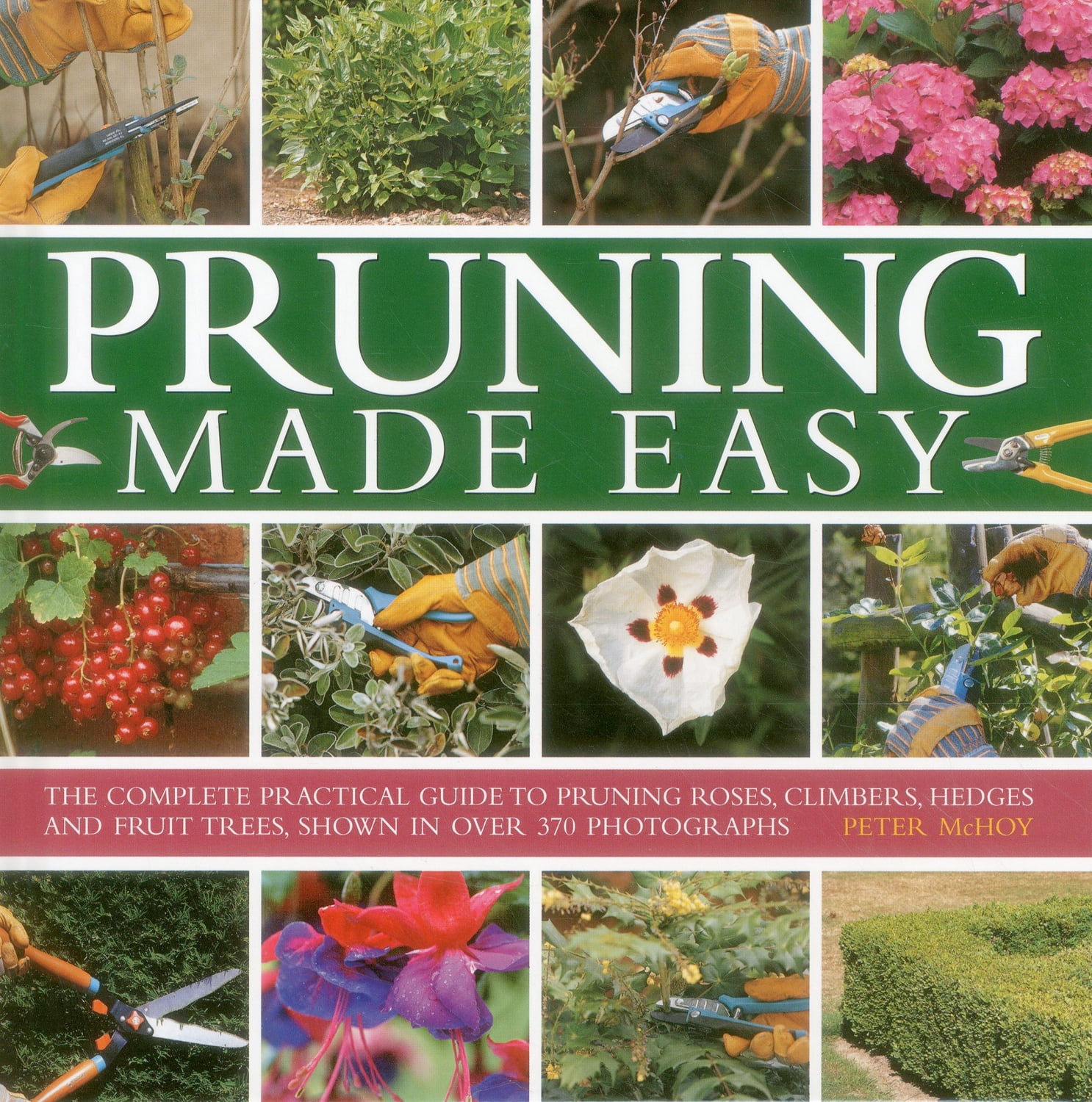 Pruning Made Easy : The Complete Practical Guide To Pruning Roses ...