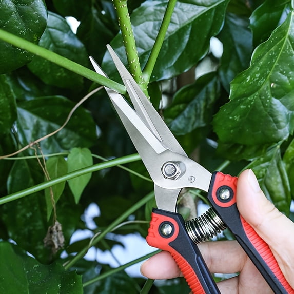 Pruning Scissors, Professional Garden Shears, Serrated Straight ...