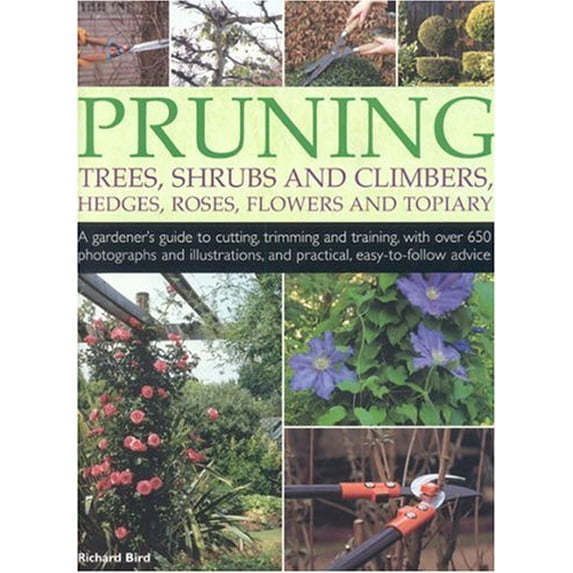 Pre-Owned Pruning Trees, Shrubs & Climbers (Paperback) 1844762955 9781844762958
