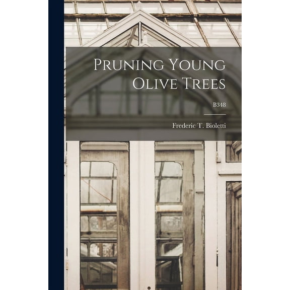 Pruning Young Olive Trees; B348 (Paperback)