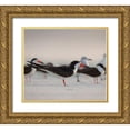 thumbnail image 1 of Pryor, Maresa 17x15 Gold Ornate Wood Framed with Double Matting Museum Art Print Titled - Black Skimmers on Lido Beach-Florida, 1 of 4