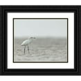 thumbnail image 1 of Pryor, Maresa 18x15 Black Ornate Wood Framed with Double Matting Museum Art Print Titled - Reddish egret-white phased-Egret rufescens-Bolivar Flats-Texas, 1 of 4