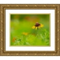thumbnail image 1 of Pryor, Maresa 32x26 Gold Ornate Wood Framed with Double Matting Museum Art Print Titled - Butterfly garden at the Willows trail-Anahuac National Wildlife Refuge-Texas, 1 of 4