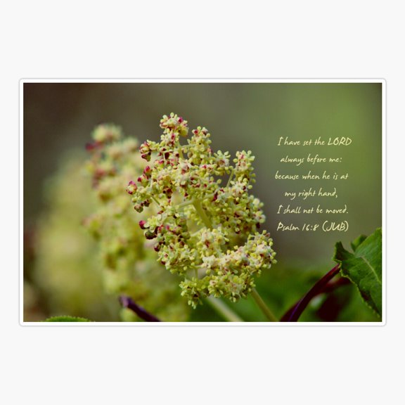 Psalm 168 Sticker