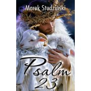 Psalm 23 The Good Shepherd - The Spirit of Acceptance, Paperback