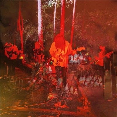 Psychedelic Porn Crumpets Levitation Sessions LP neon pinwheel vinyl