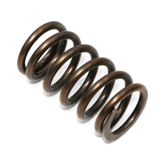 PSYCHIC EXHAUST/INTAKE VALVE SPRING
