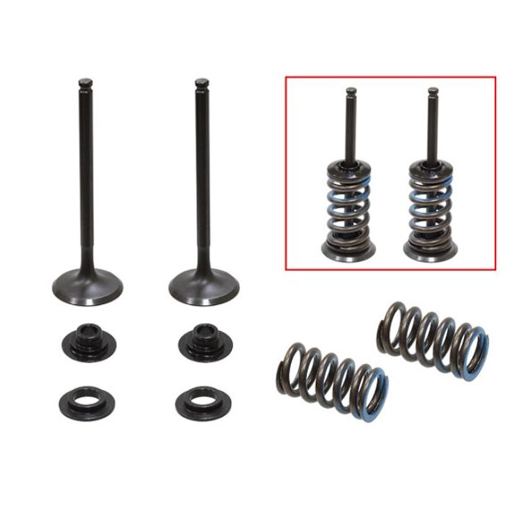 Psychic Products XU-09556EK Exhaust Valve Kit