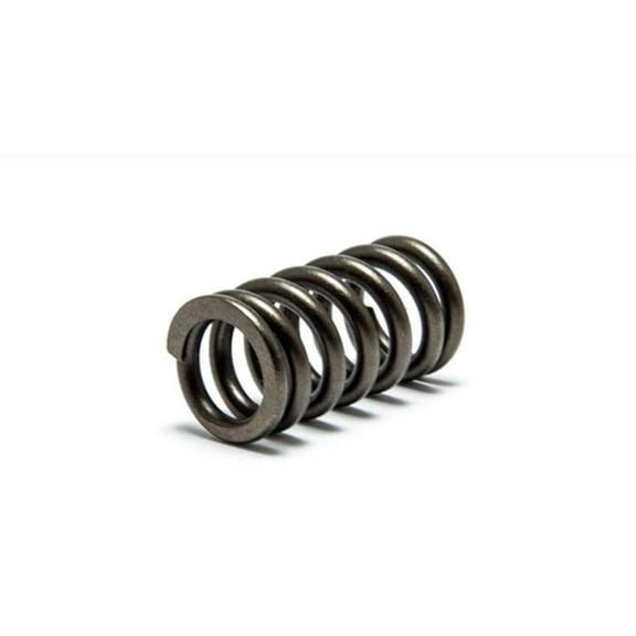Psychic MX XU-09544S Intake Exhaust Spring