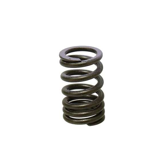 Psychic MX XU-09552IS Intake Exhaust Spring