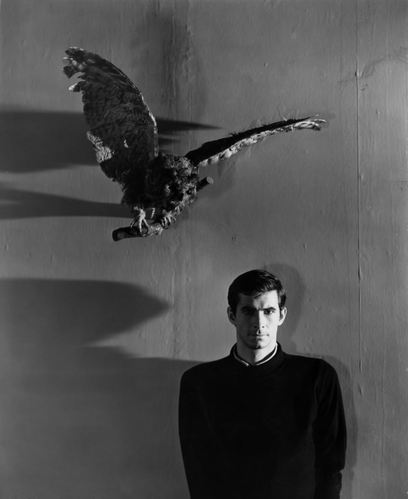 Psycho Canvas Art - (16 x 20)
