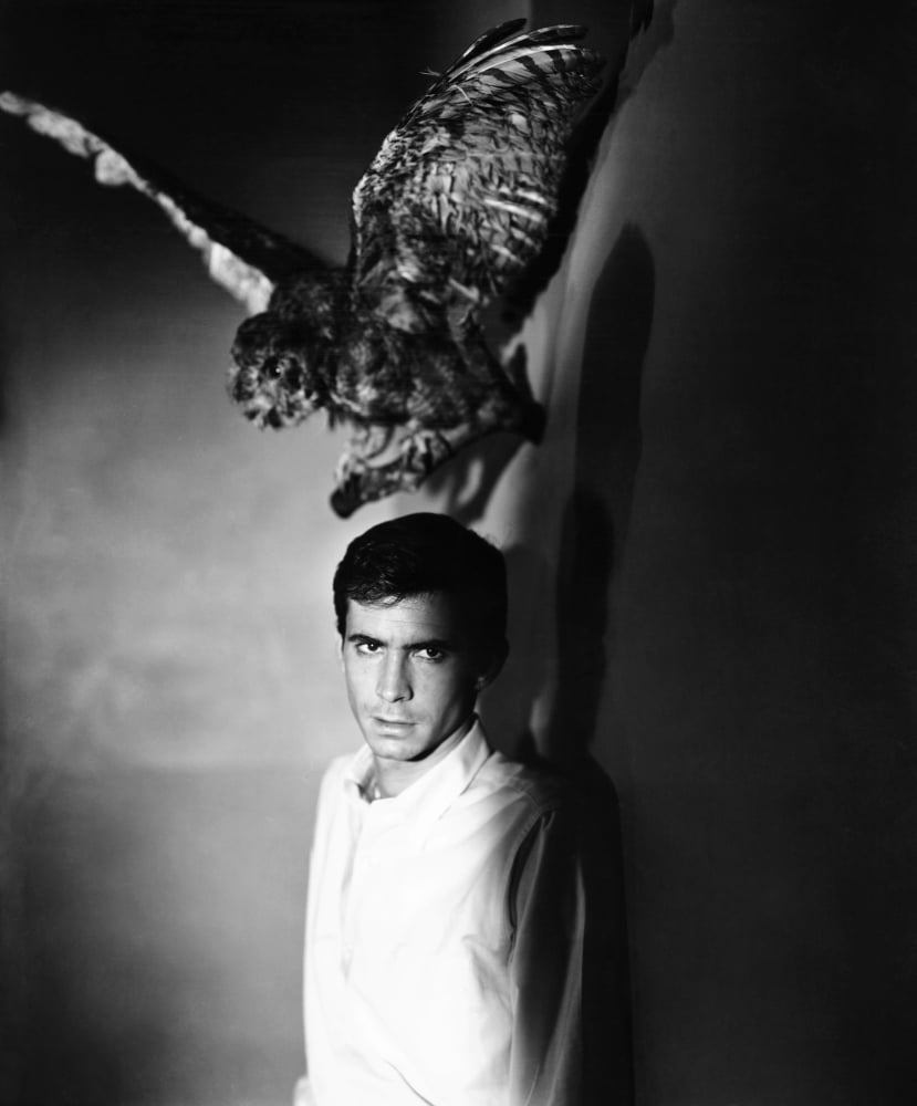 Psycho Canvas Art - (16 x 20)
