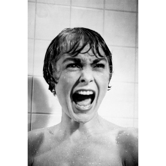 Psycho Movie Poster 16x24 Poster Medium Art Poster 16x24 Unframed, Age: Adults Western Graphic