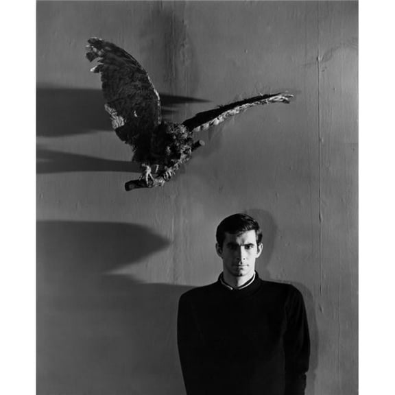 Psycho Photo Print - 16 x 20 - Large