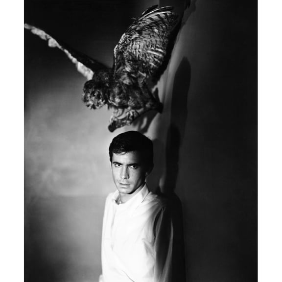 Psycho Photo Print (16 x 20)