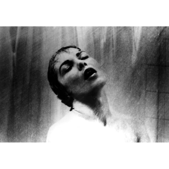 Psycho Photo Print (20 x 16)